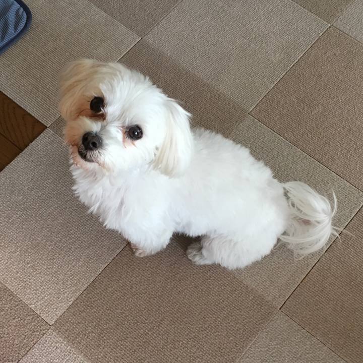 36f44b0c 45d0 4e14 b8ab 2cc7e12e5352