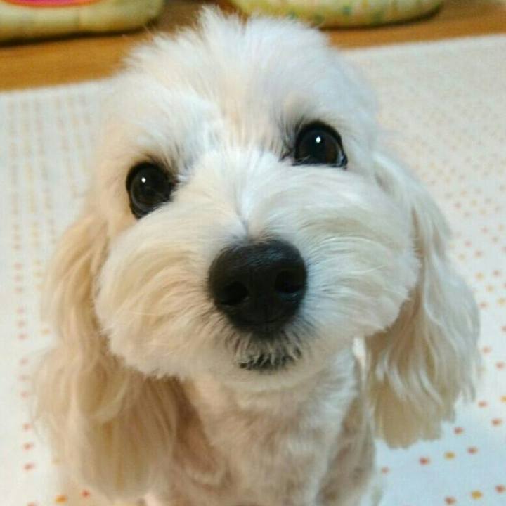 36f4efd9 8a1a 410a b2db c3b43f79741e