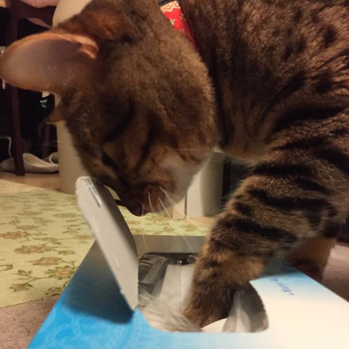 36f5065a 0796 4fa6 998e c5308a5999d8