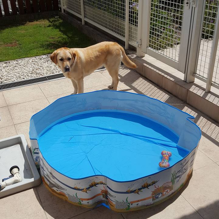 36f53401 e3dc 49b0 a6f1 7cc973f08f73