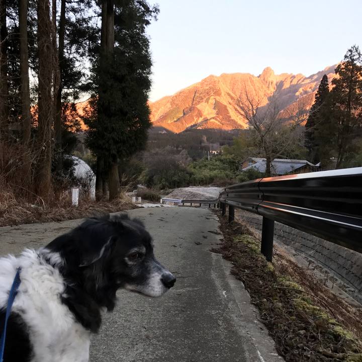 36f66e70 9674 4ec3 8bb1 c4557a14f029