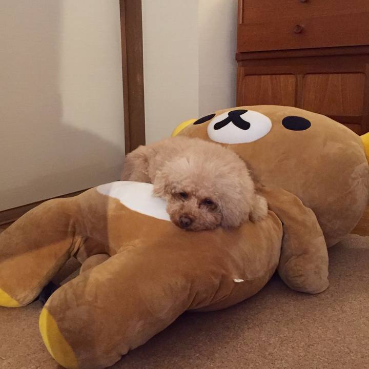 36f69b50 a3ce 4e7f bc2d f0705d7582ed