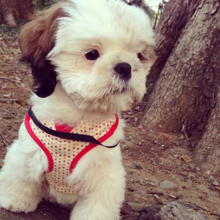 36f6ecc8 ebb2 4644 8514 5891b79b3645