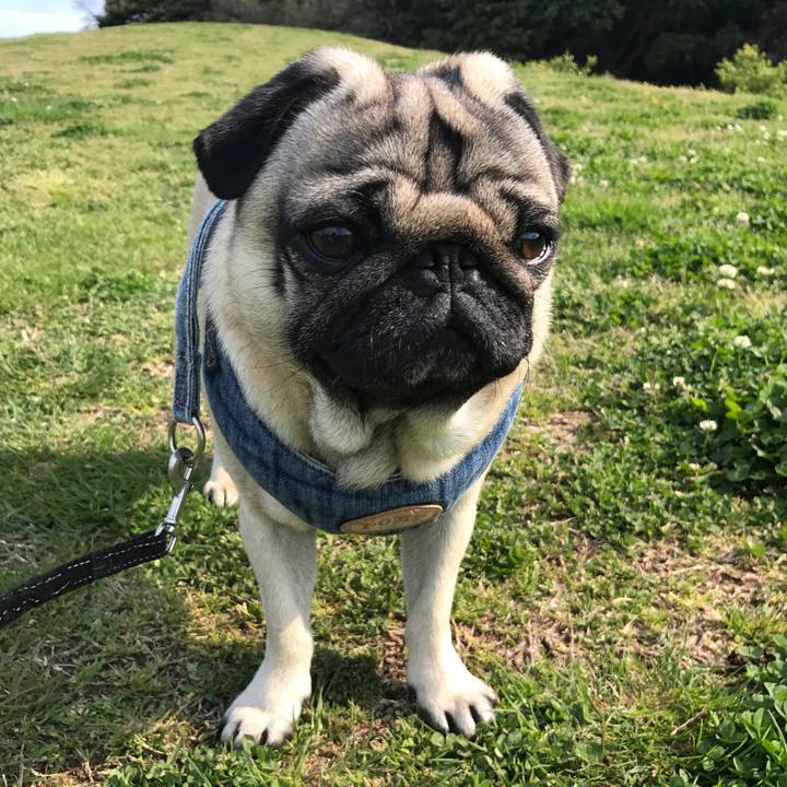 36f6f12c ea28 4329 b92f 505f95e0fc71