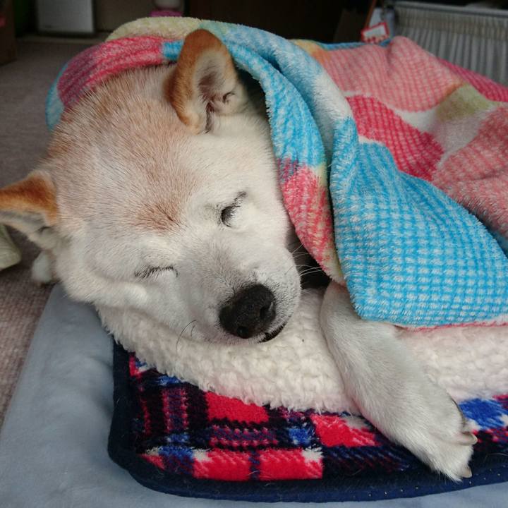 36f7166a 6917 4c4e 8420 d907a9d13e55