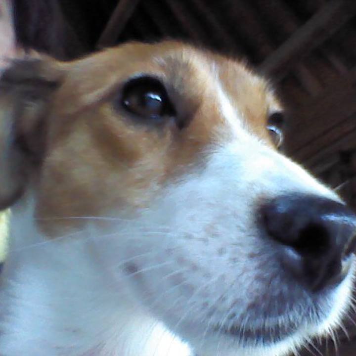 36f74c9f 3465 418b ba3c 8725446a72b9