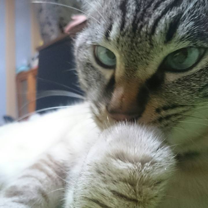 36f79b60 9cef 4717 b66f 9fcfd8a2b462