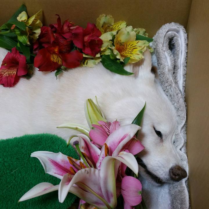 36f7a574 3969 49c1 8223 4aea190f9e7b