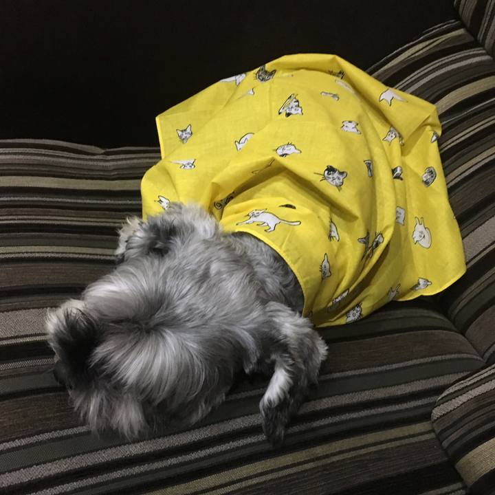 36f7e808 447f 4eeb 81a5 6f0a388432eb