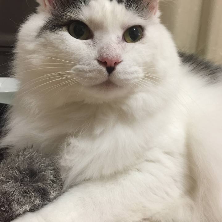 36f8ad01 1af0 4a27 a04d ce71018e47c3