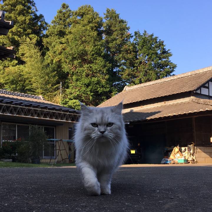 36f8dfe5 3fa1 4fc9 a1b4 f53fc29733c3