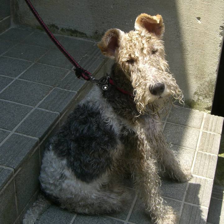 36fa0ddb 673a 42e8 ac17 55a803dc0fde