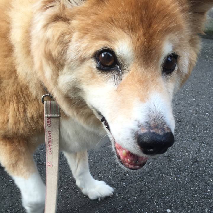 36fa5b8b d16a 472d babb ea4b1e4fae28