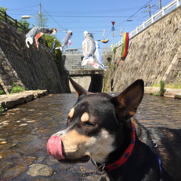 36fa5c0d c48a 4fb4 838d c6cf31d9b8a5