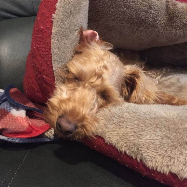 36fa8a57 2319 4616 ada1 d456900a27d7