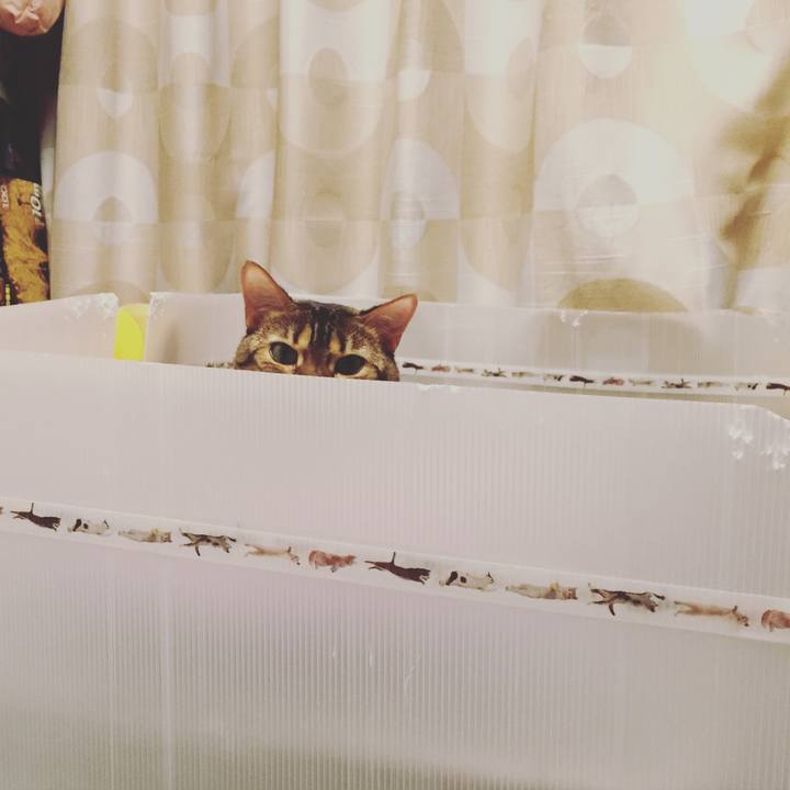 36faa7a9 d35e 4b16 9d21 497297f678cc