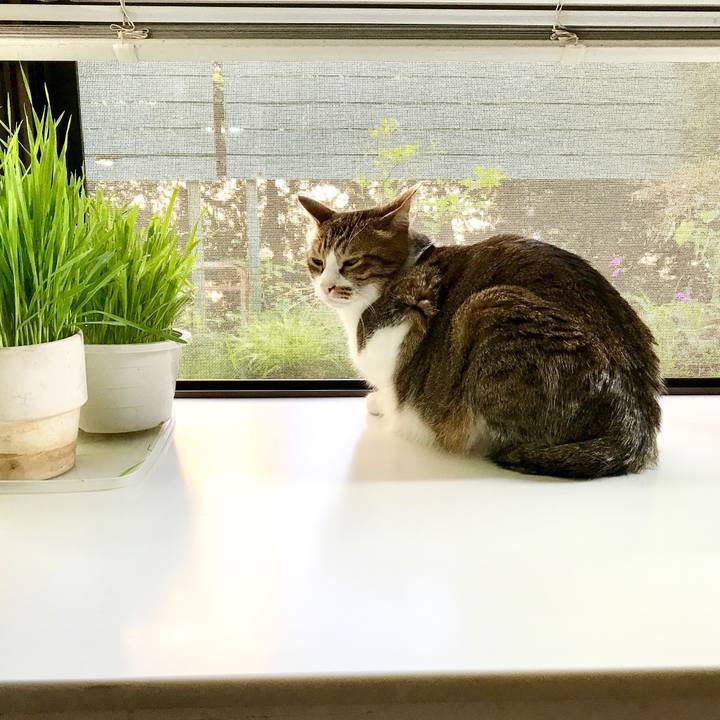 36fb102b fd91 4ec4 a3e3 614f4709c8f2