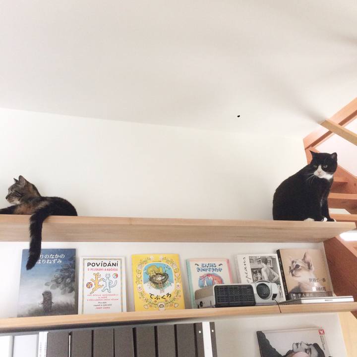 36fb2f8d 8e22 46b5 9e82 baeabaaa931b