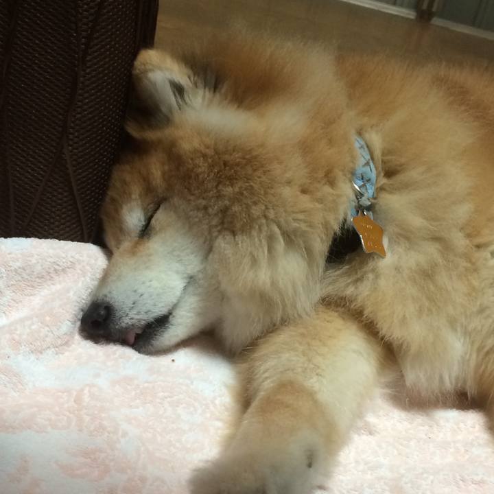 36fb618c 89f8 4d18 90ba 8a5b89af4cde