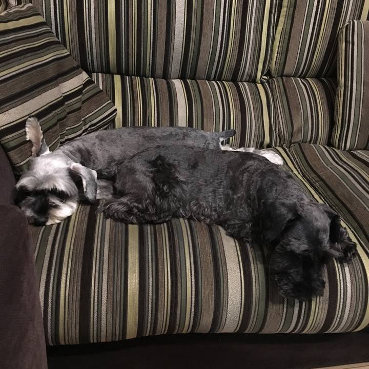 36fbcc75 13f4 45a2 b591 377cf54baca1