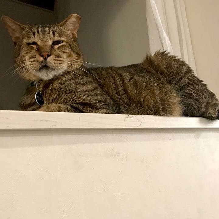 36fedfe4 ca16 46fc bebd 3ff1a71f3f71