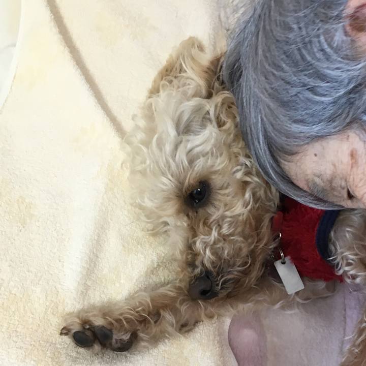 36ff0def 584f 4c02 a05e 008087168f8d