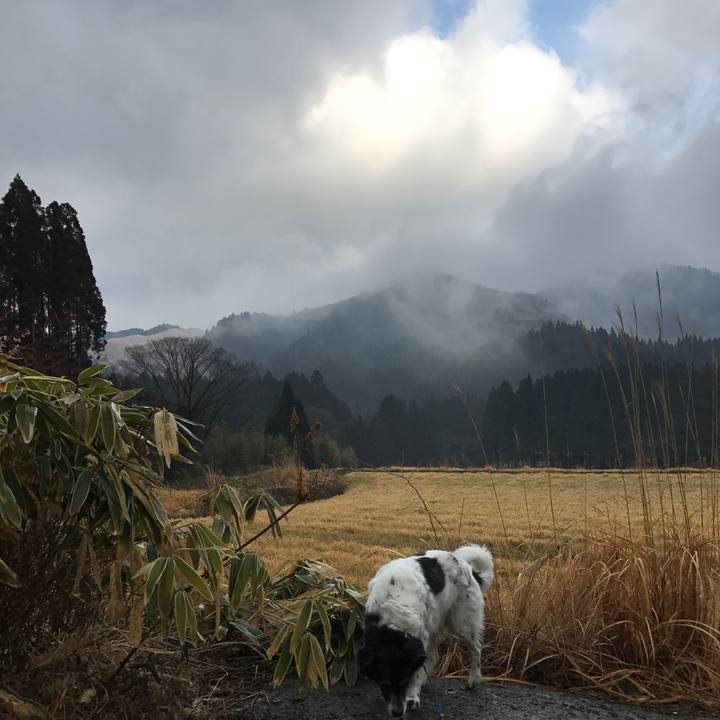 370032b8 f134 483e 94d5 4d2c92ef262f