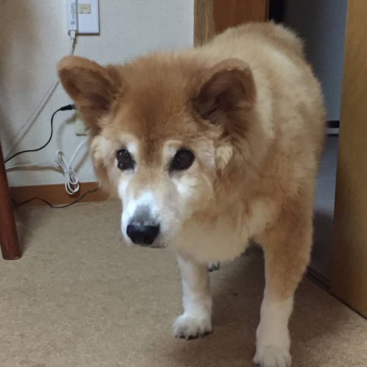 3700b316 1822 4b81 88db 5834d0b203ea