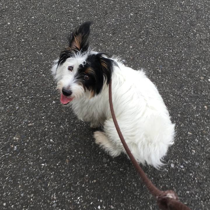 3700fae5 a212 467a 9c25 4cc0f92e5c00