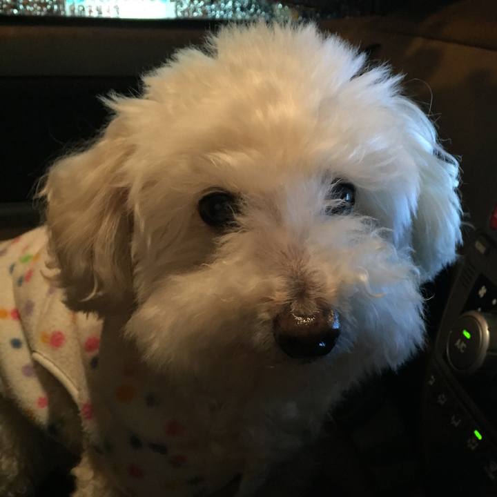 37018a68 aaf6 4353 a255 900b71577ae2