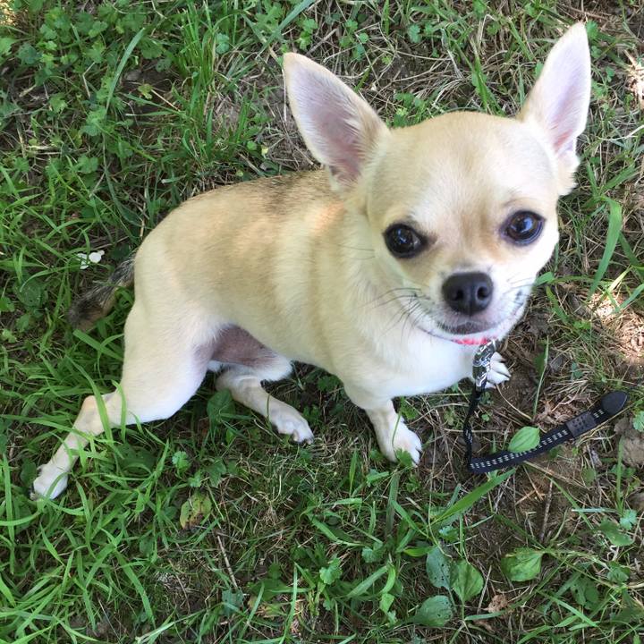 3701bee0 490e 4df1 9bc5 4c7a0171ca4e