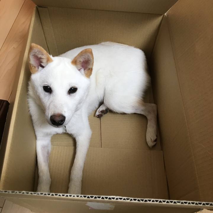 3701ea16 c0c4 4d2e 91fd 20665f267a09