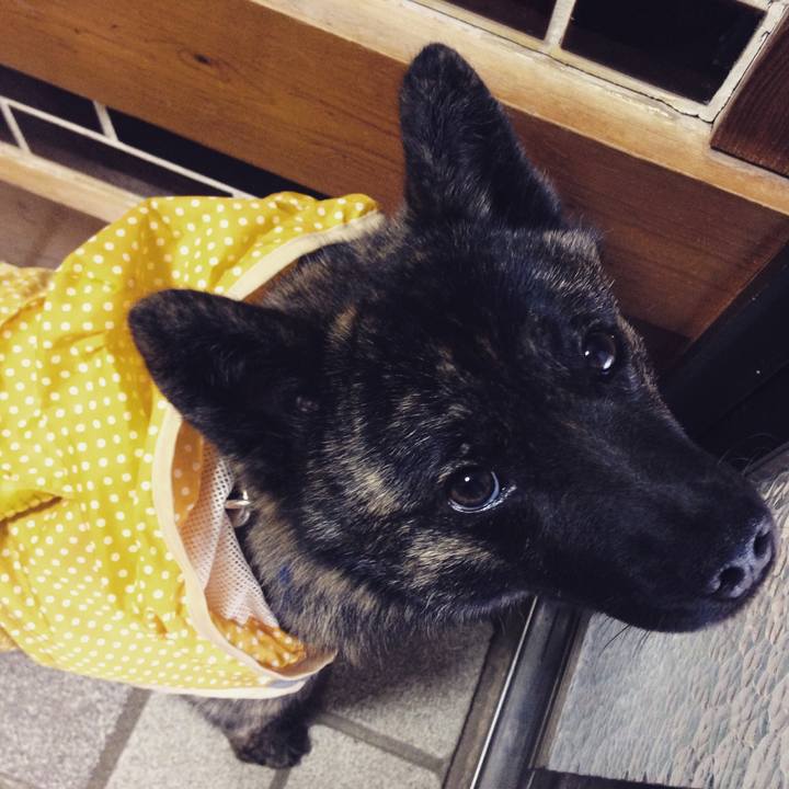 37023b6d 39ec 4bcf 98c5 596e1fa1efdb