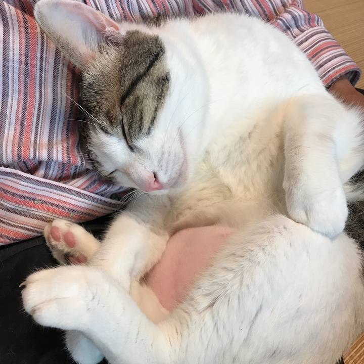 3703d881 cbb2 4342 937d 8a0a138bf77f