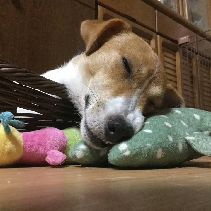 37043d1a 9aca 4bf3 8200 f101c03fc3d1