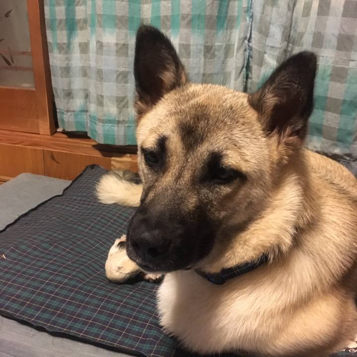 3704d31e ca8b 46ee 94b9 8c55c8d6c17c