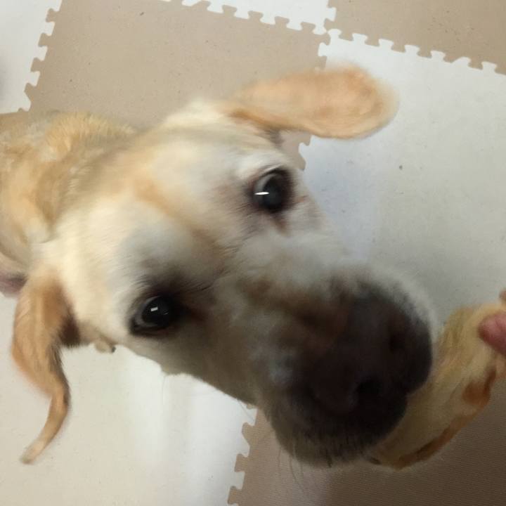 37059ca6 d53c 4bfe b779 11b5a286c162