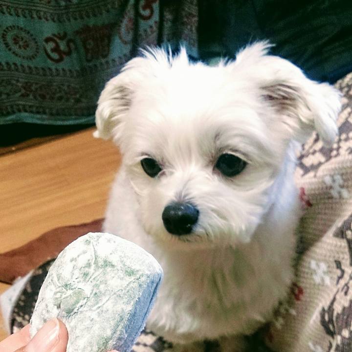 3705ac01 3522 4705 a614 09c163a1d05a