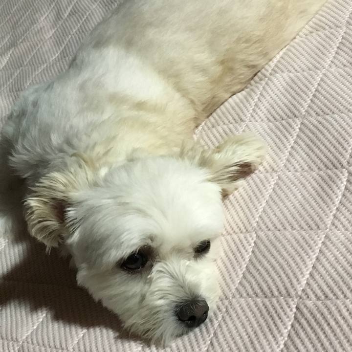 37066a2d fdc1 4bb2 89f1 136cac2cb378