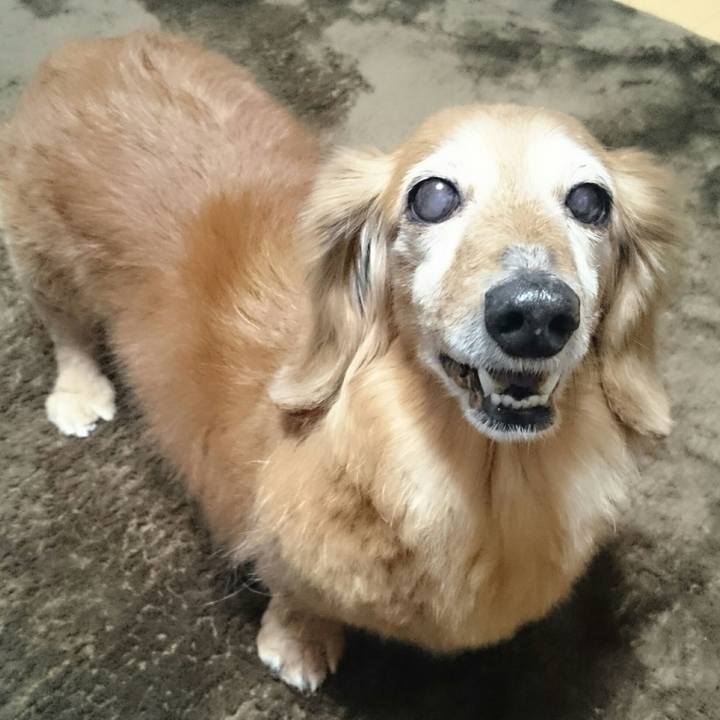 37067ea6 2a89 4ea0 94c3 ecc687dbf1f9