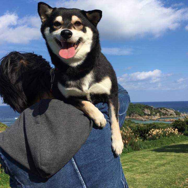 37069326 8a60 4091 916f 3ee115ab746f