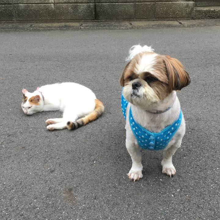 37069aee a7ec 4eb3 b357 13d1b8307823