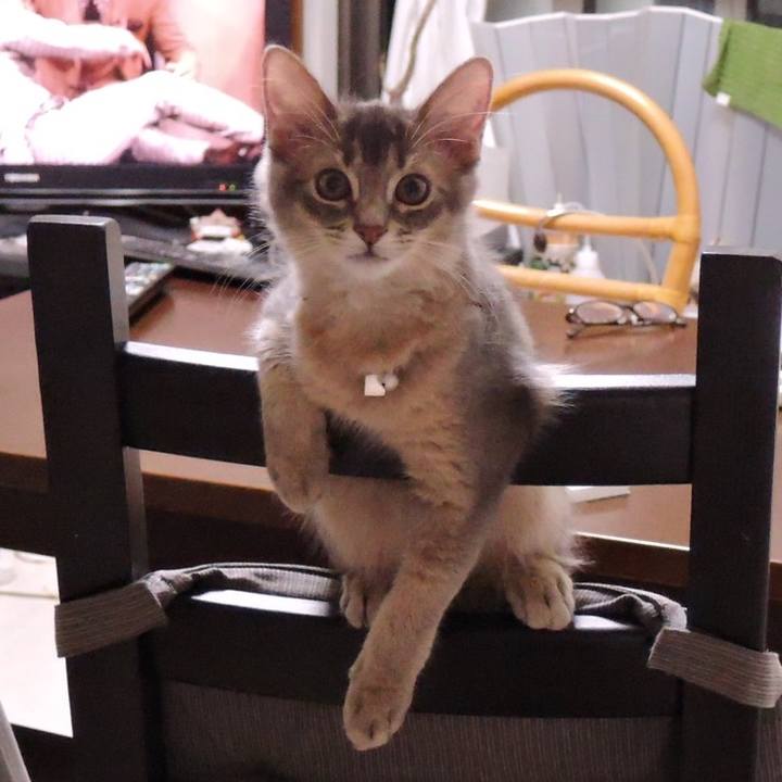 3706ccb3 02b8 4d91 a3de 75baad6312c4