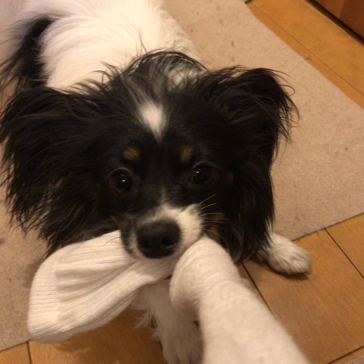 3709bf2e 9316 47a8 bee2 4419480aaea6