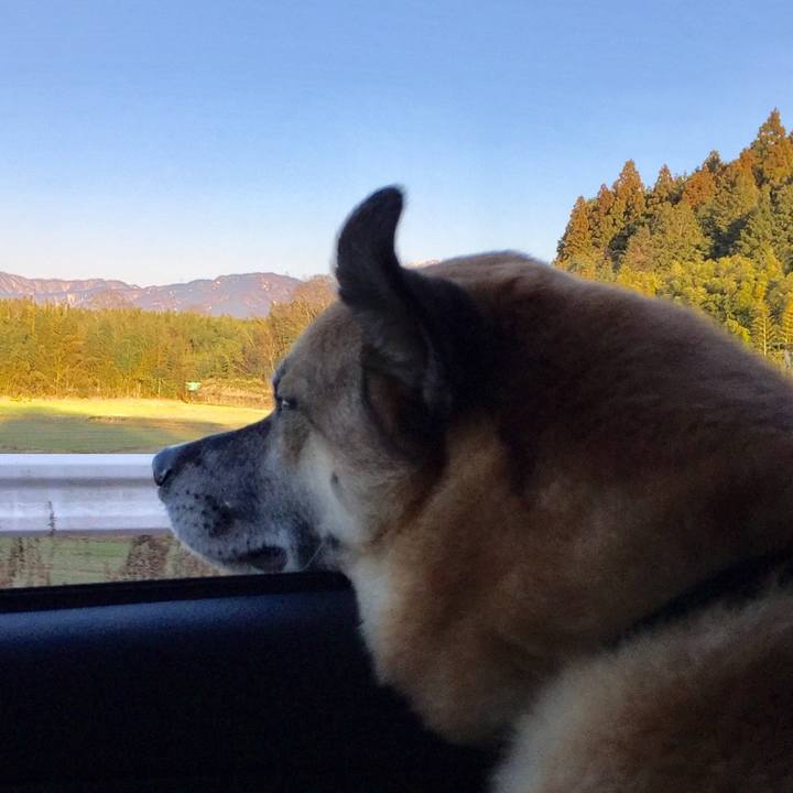 3709c46f 0746 46a7 9e01 ced3b6650555