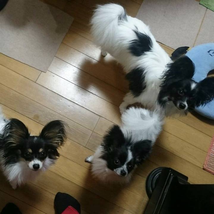 370a5a53 3b3a 467f b9d2 6c88cbc44452