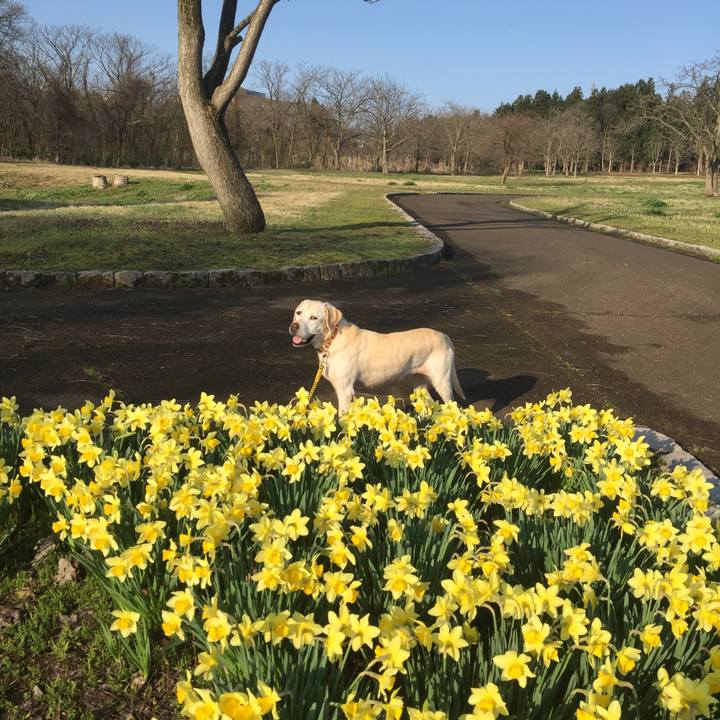 370aa2fa a821 4dcc 80cd 15cc5c94814b