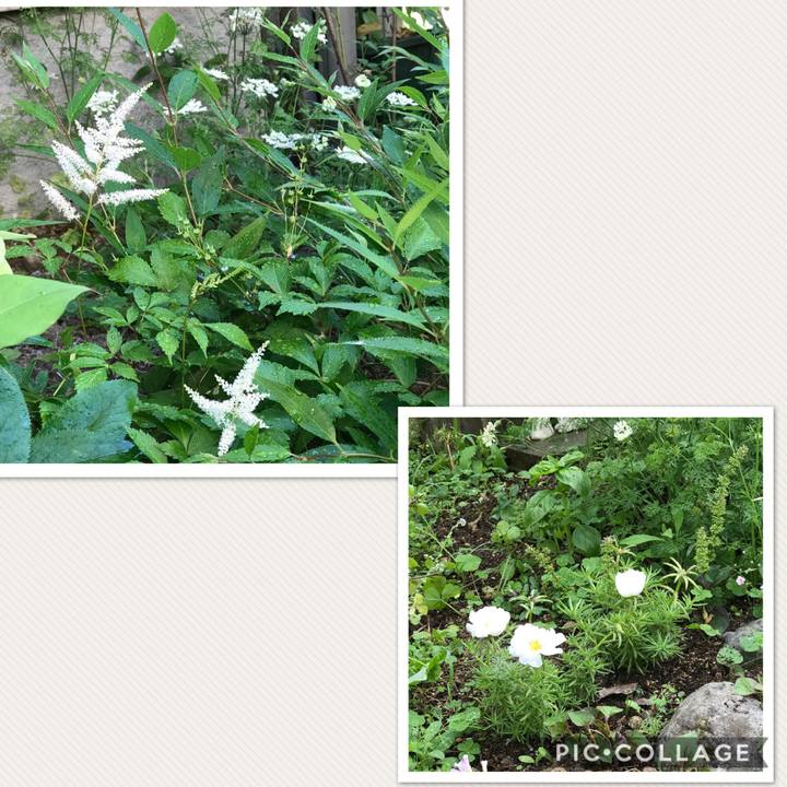 370ac9bd 8a1e 44d4 b895 6af6da429004