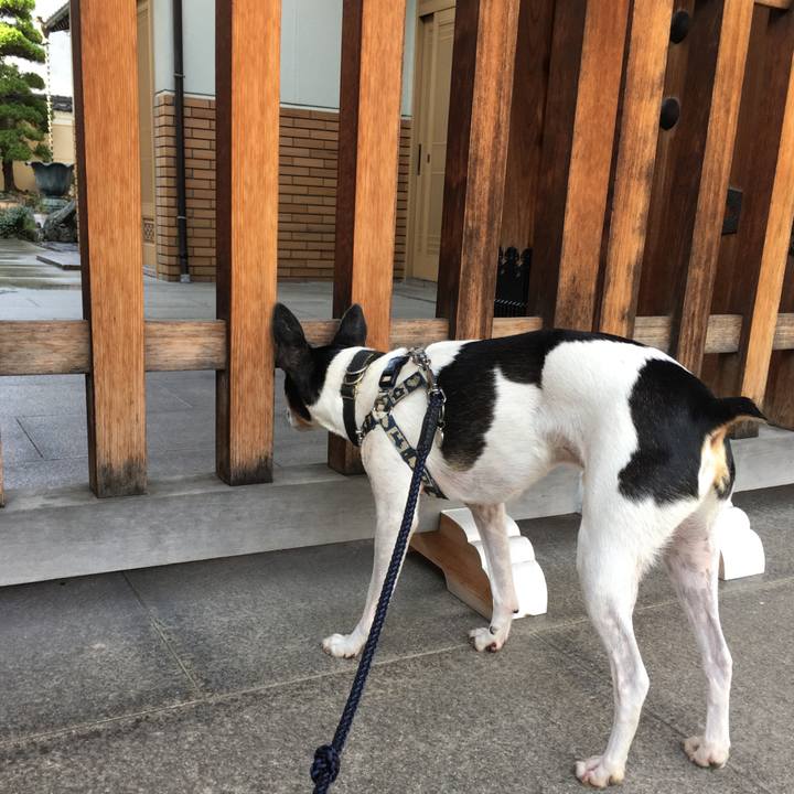 370b4ade 2504 4506 bc24 9a2c0c23e705