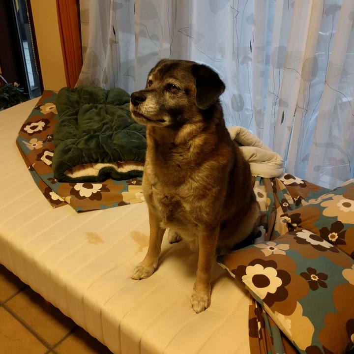 370b7514 dc4e 4373 b440 45275185677c